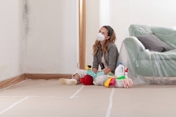 Reliable Mold Remediation contractor in Bergenfield, NJ by Cheap Mold Removal
